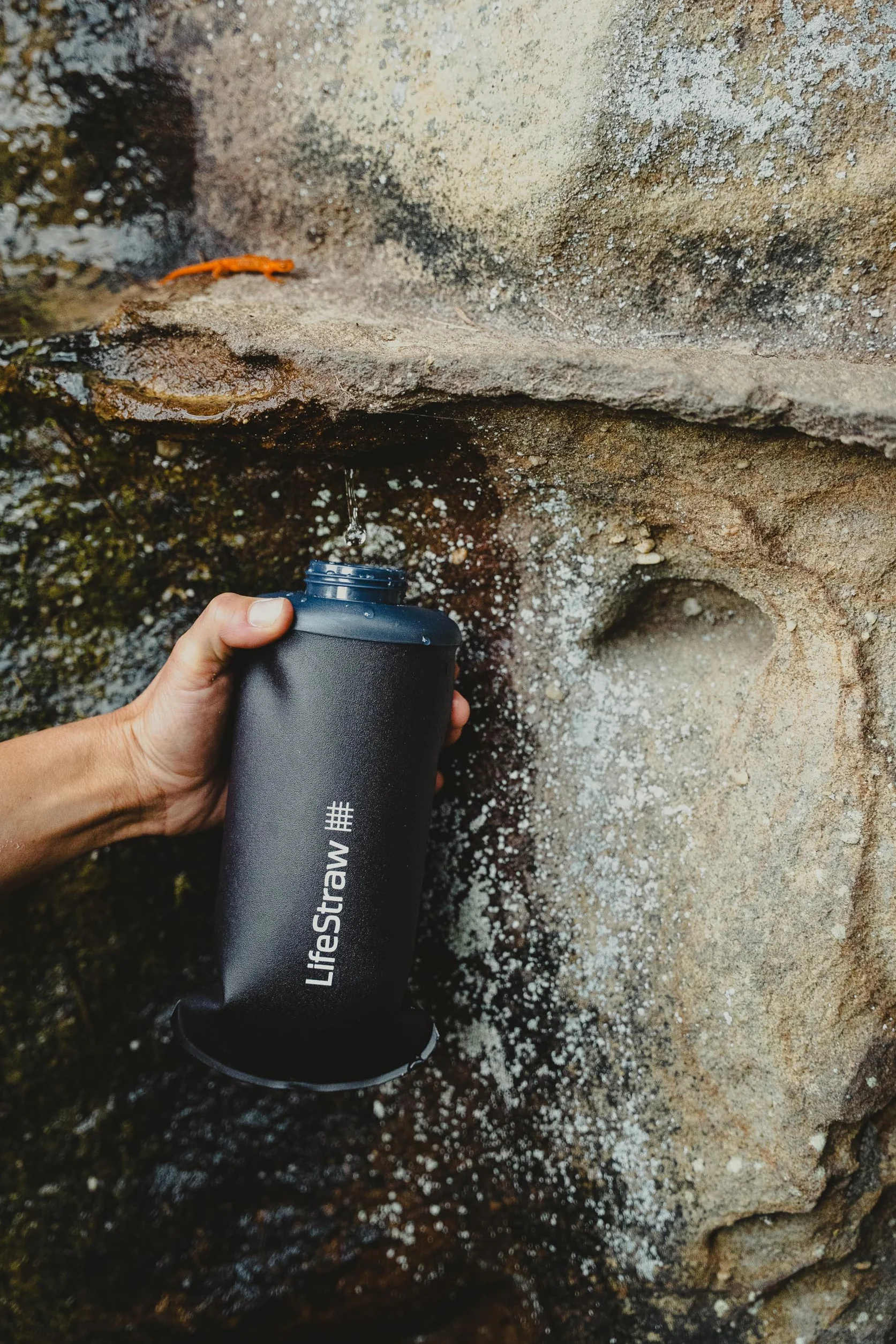 LifeStraw Peak Squeeze Bottle 650ml (grey)