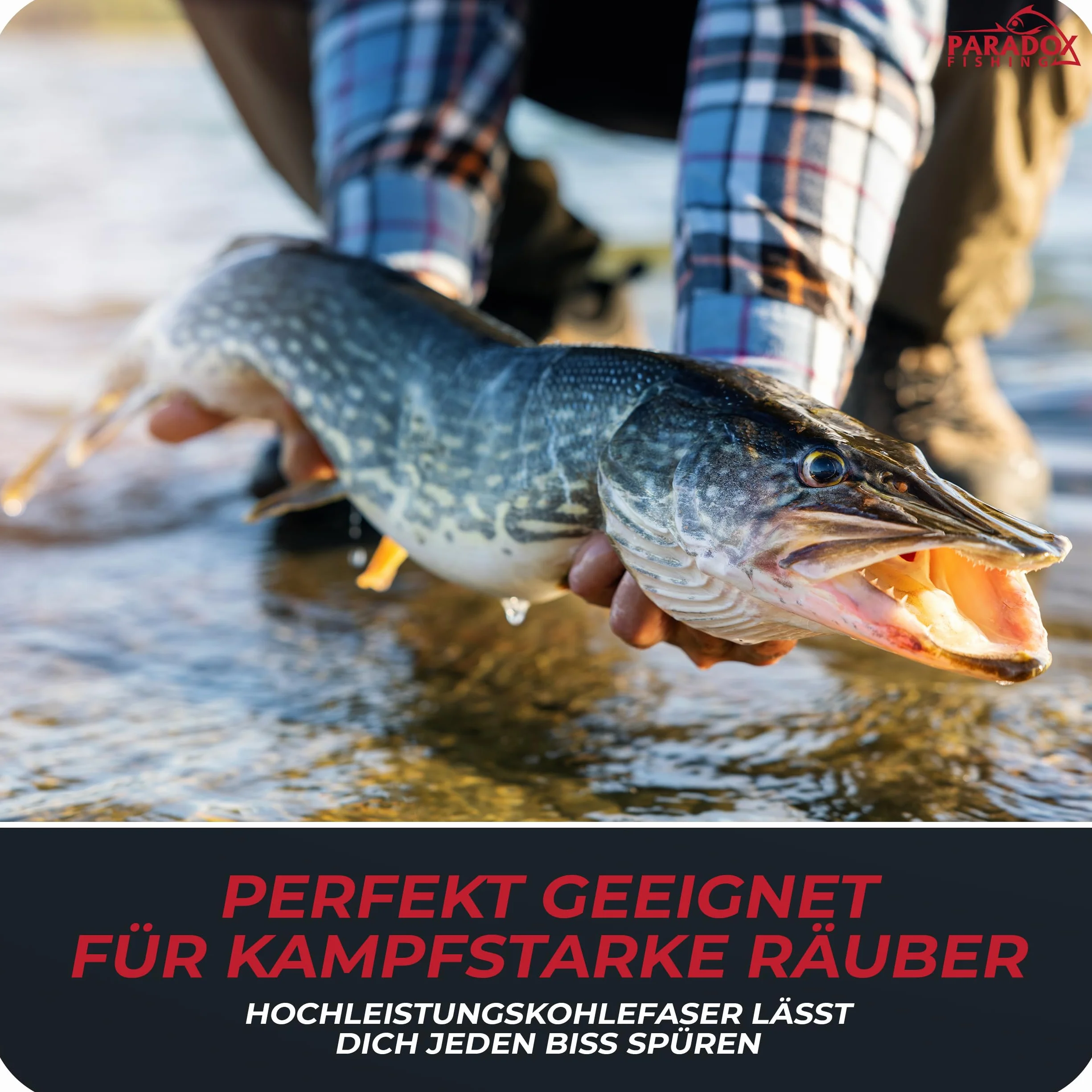 Paradox Fishing Zestaw wędek spinningowych 2,1 m/2,4 m/2,7 m teleskopowa z kołowrotkiem i akcesoriami