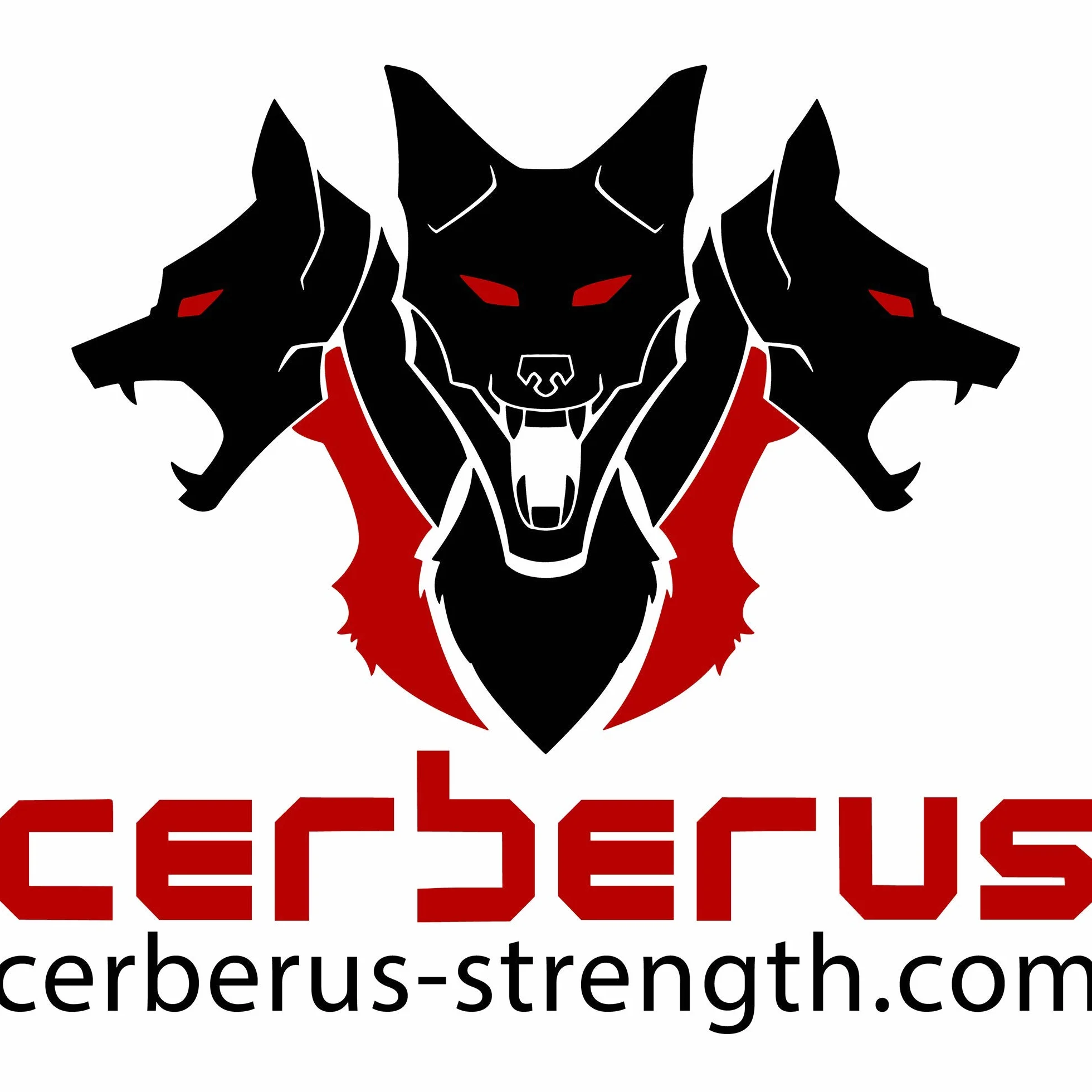 CERBERUS Strength Extreme 39 cali 99 cm opaski na nadgarstek para