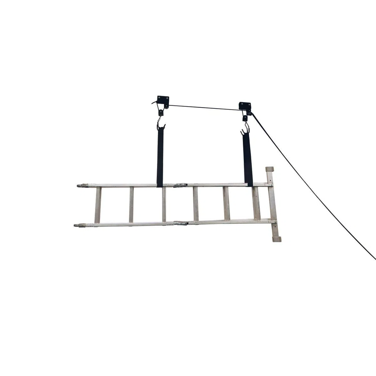 Fischer Profi Plus 50387 Uchwyt Sufitowy do Rowerów, Czarny/Nieieski, Nośność 57 kg