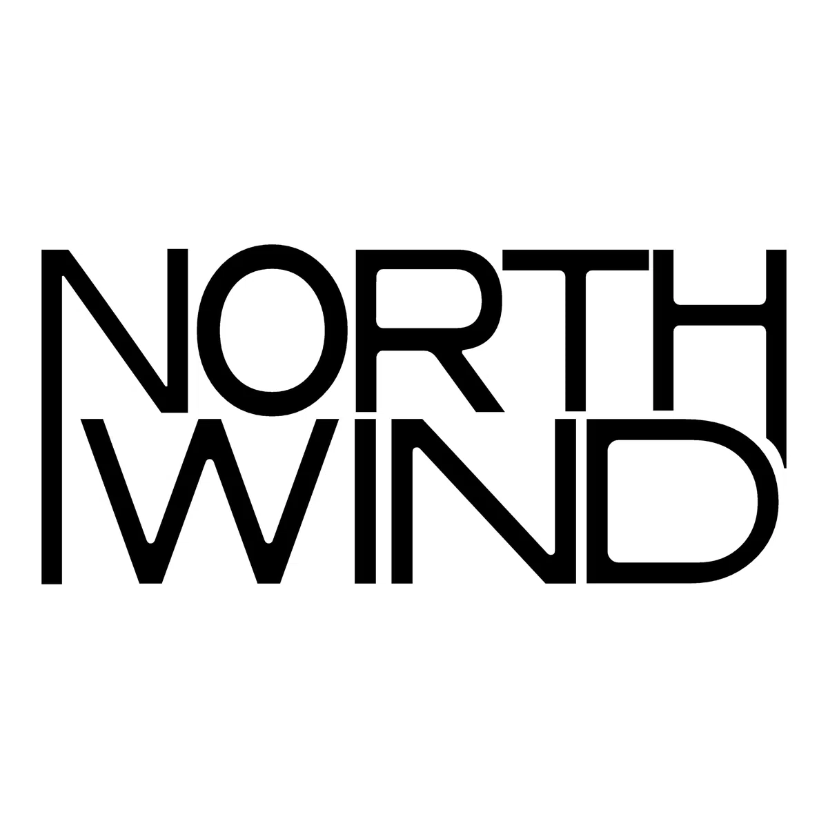Northwind Basket A-Cross MLT wytrzymały kosz rowerowy (bezpieczne mocowanie za pomocą adaptera MonkeyLoad, plecionka stalowa o drobnych oczkach, wyściełany uchwyt), czarny