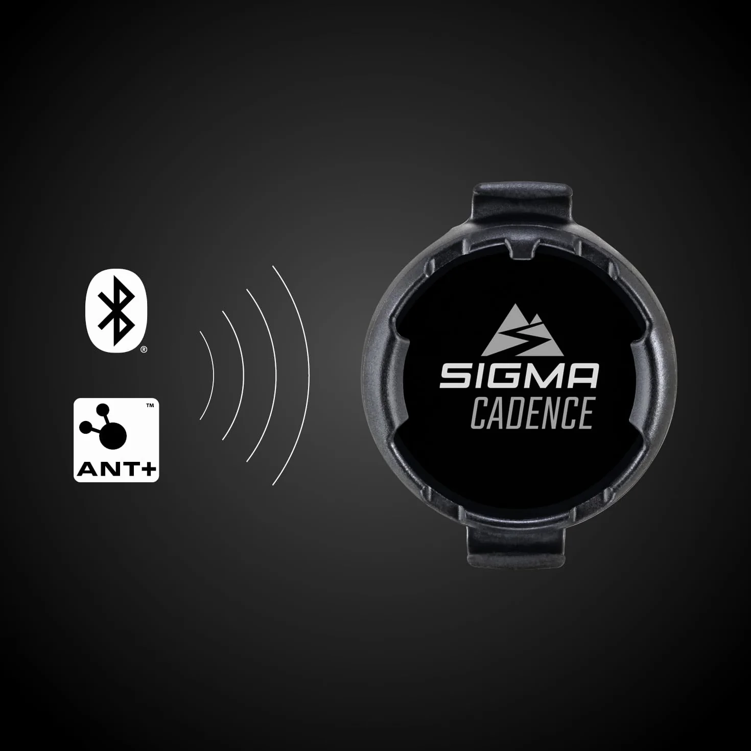 SIGMA Duo Magnetless Cadence Sensor | Czujnik do pomiaru kadencji bez magnesu | Ant+ i Ble Wsparcie | Akcesoria rowerowe