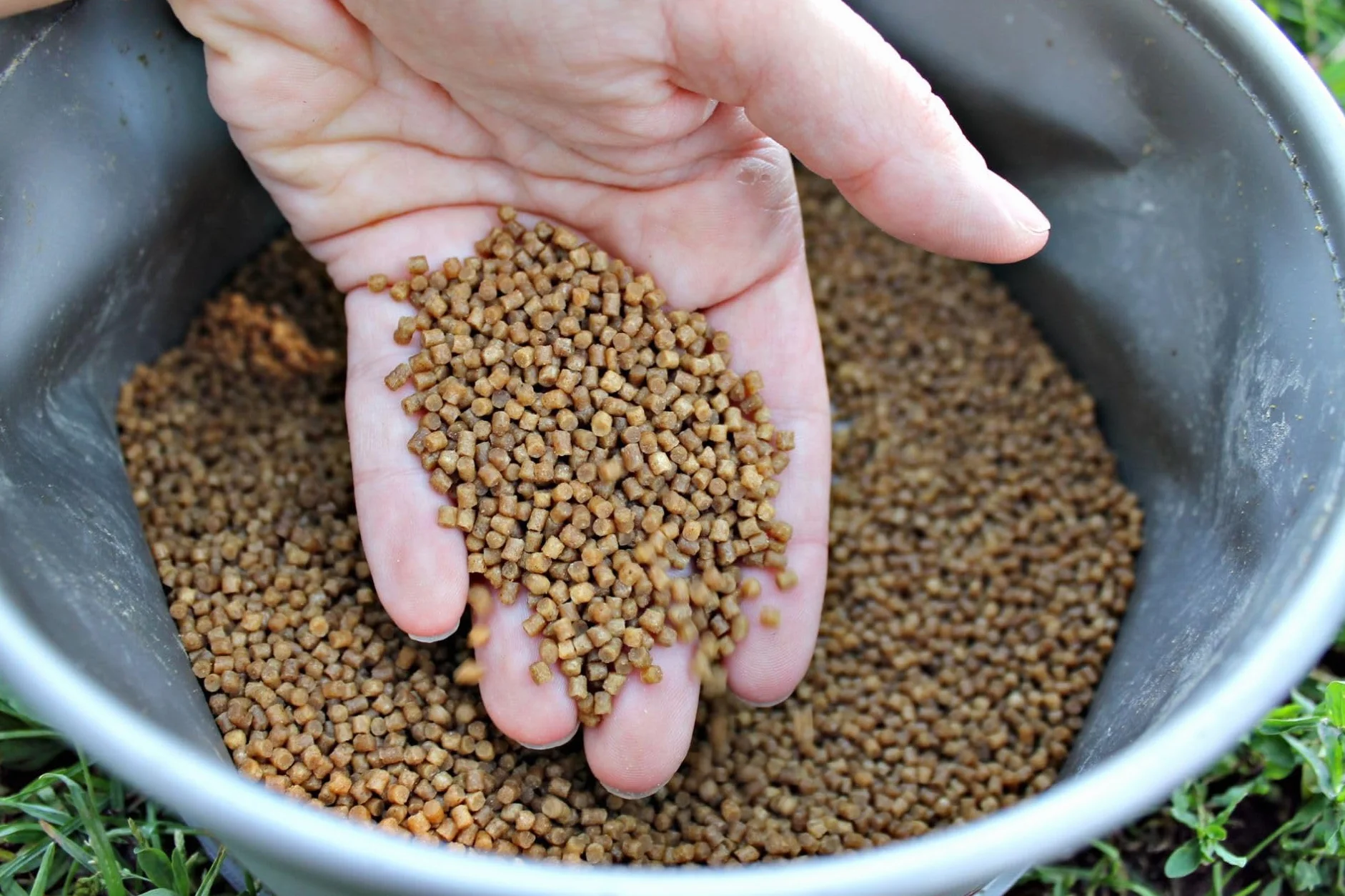 Winner Method/Feeder Pellet 2mm/1kg Truskawka Supreme