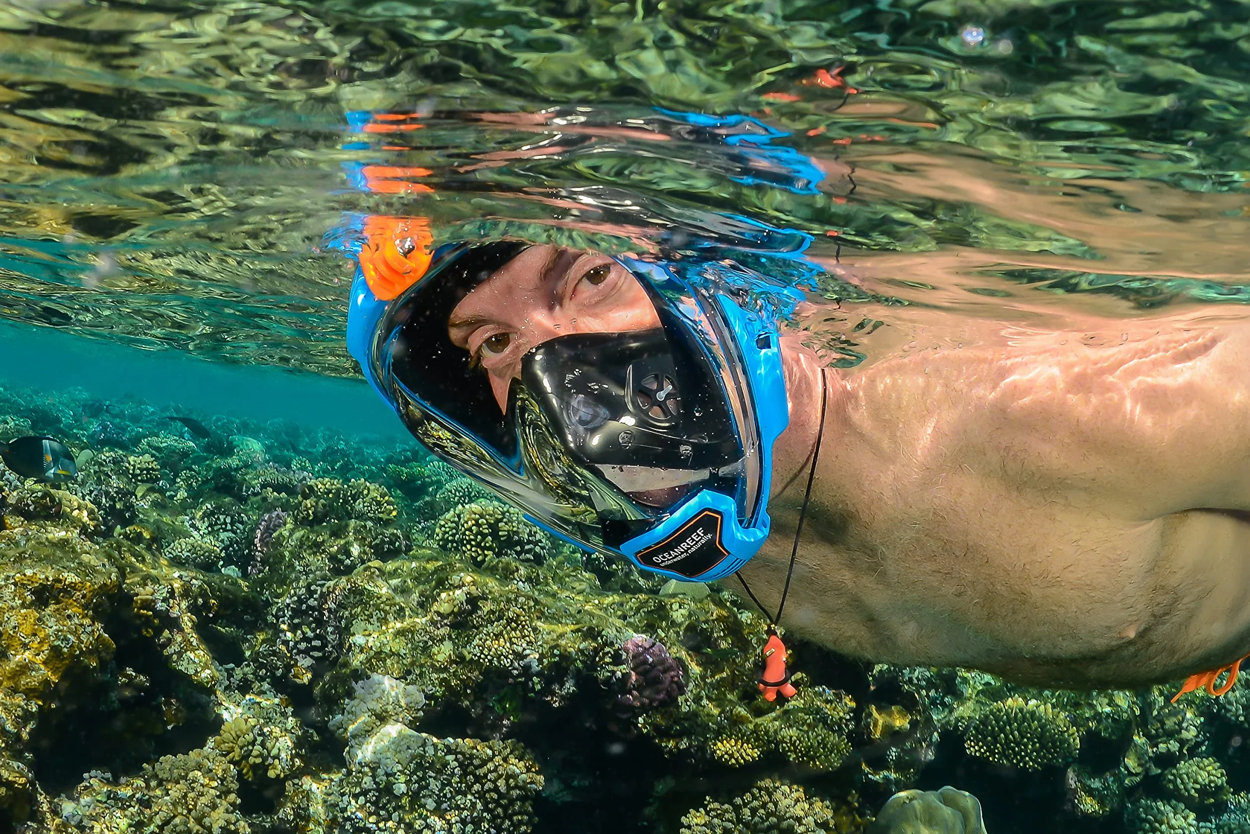 OCEAN REEF - Aria QR + maska do nurkowania z pełną twarzą z ustnikiem - widok wody 180 stopni
