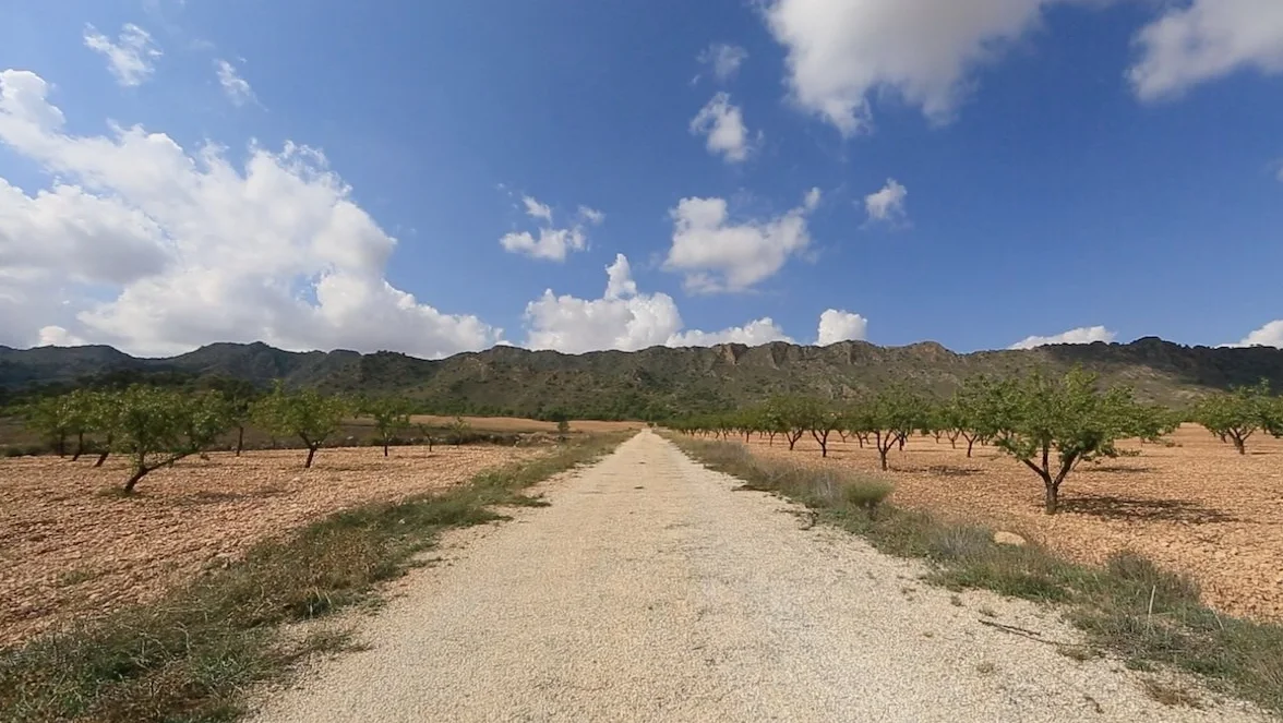 Virtual Cycle Rides - Olives Groves for Indoor Cycling Treadmill and Running Workouts