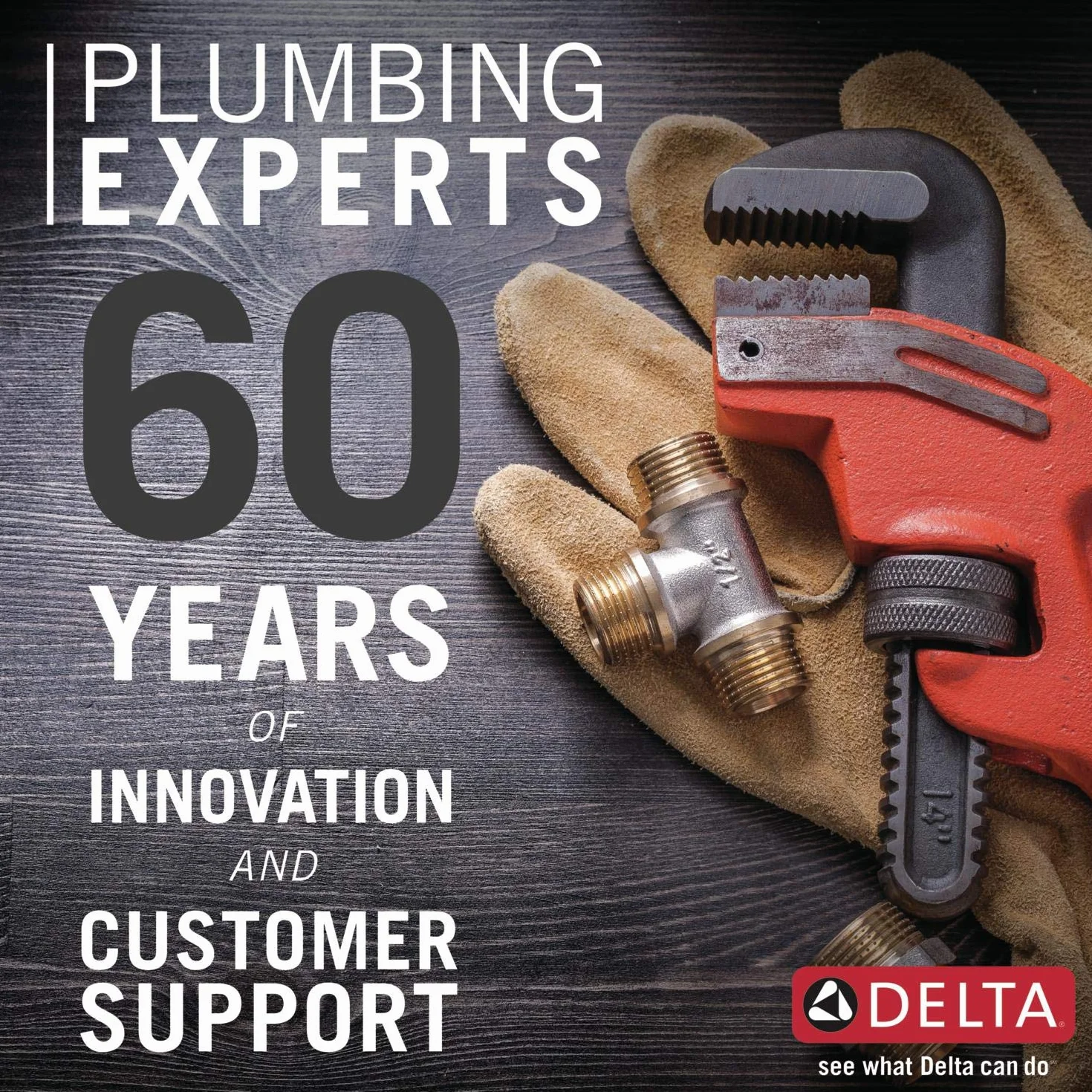 Delta Faucet 4353-AR-DST Lipa pojedynczy uchwyt wyciągany kran kuchenny, stal arktyczna
