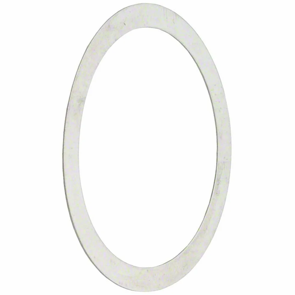 Jagwire Centerlock Rotor Shims-0,2 mm (10szt) hamulec dla dorosłych unisex, zgodnie z modelem