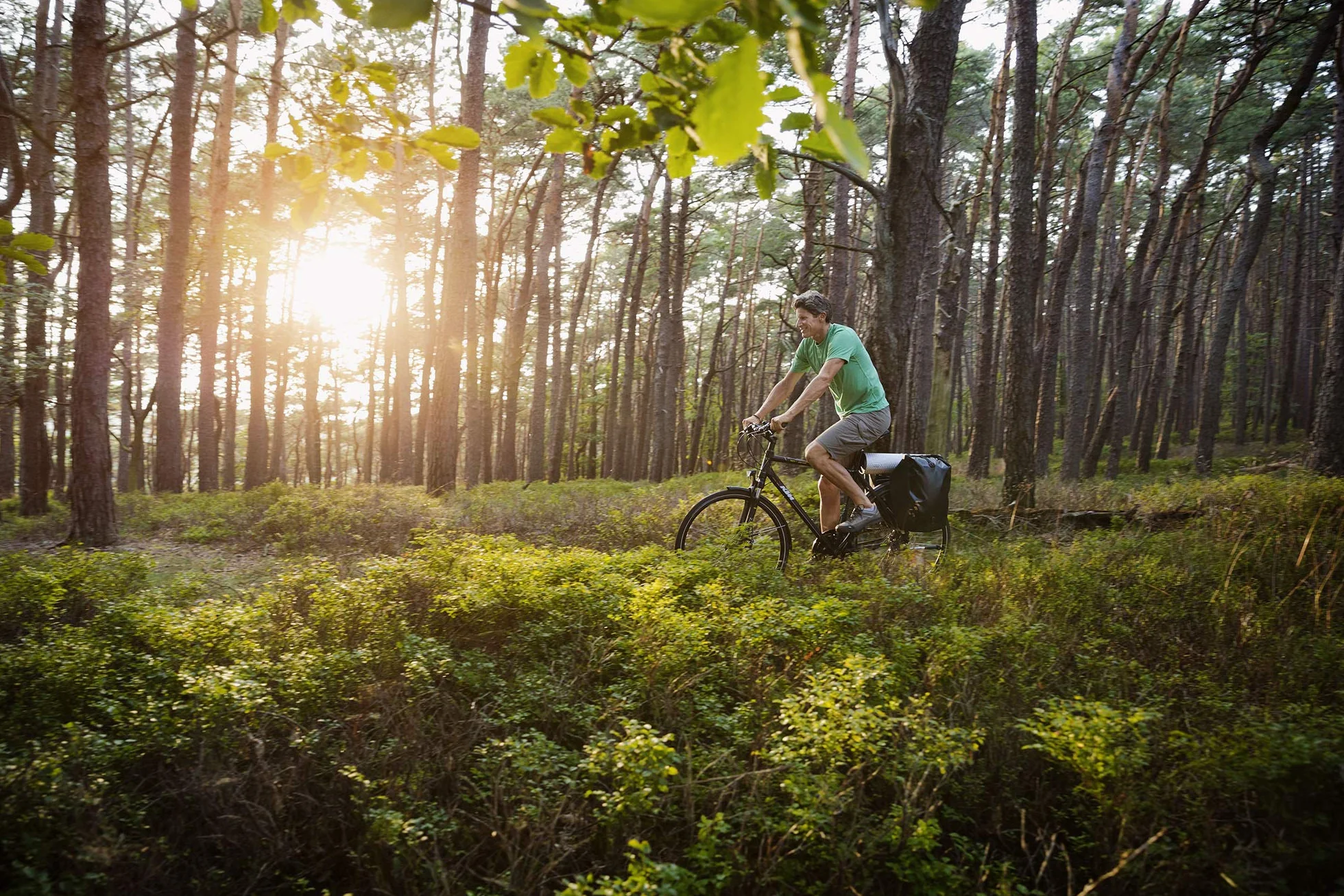 SIGMA SPORT Pure 1 Rowerowy Miernik Prędkości, Czarny, 3100