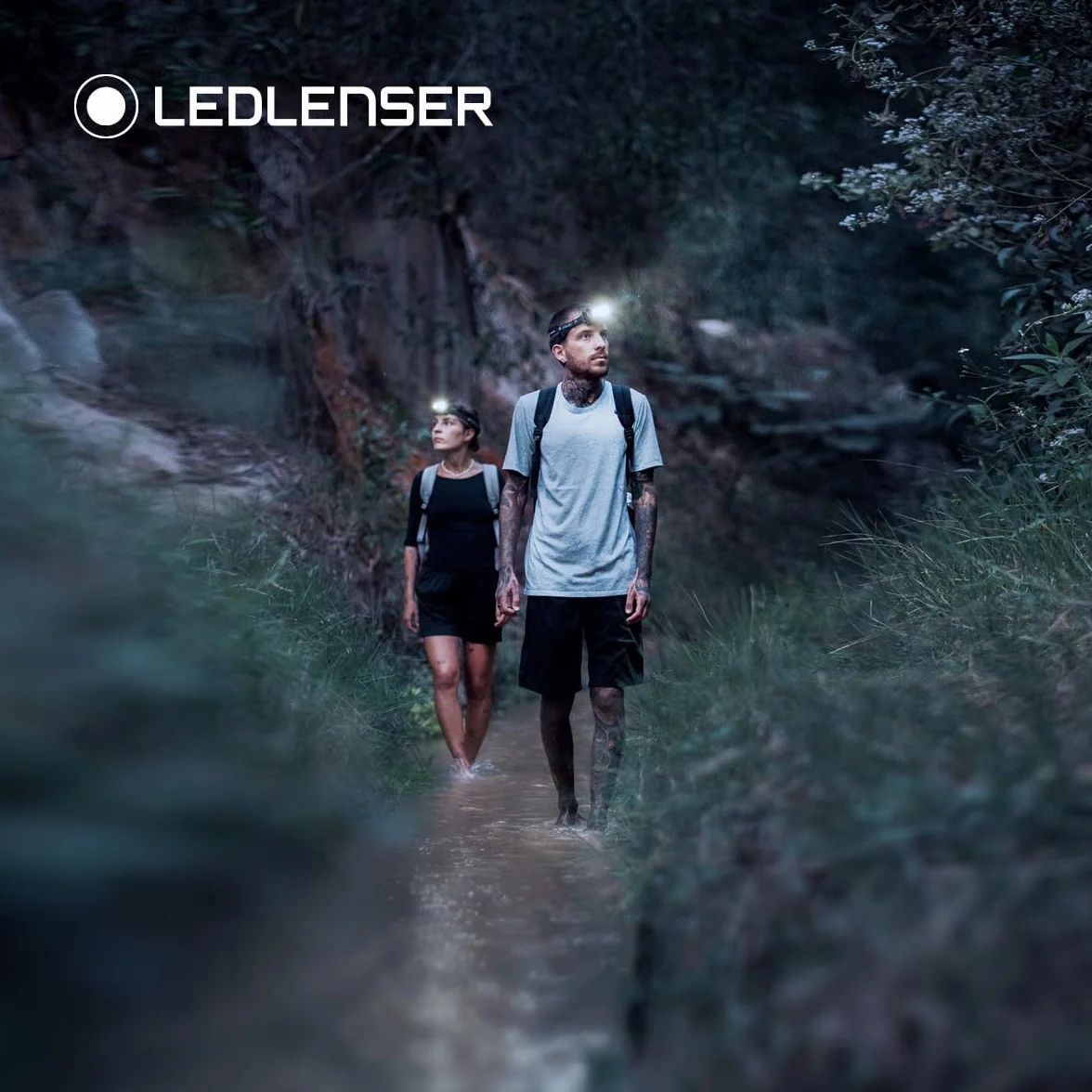 Ledlenser HF4R Signature Latarka Czołowa 600 Lumenów | Ładowalna z Oświetleniem RGB | Adventure Outdoor | Wodoodporna IP68