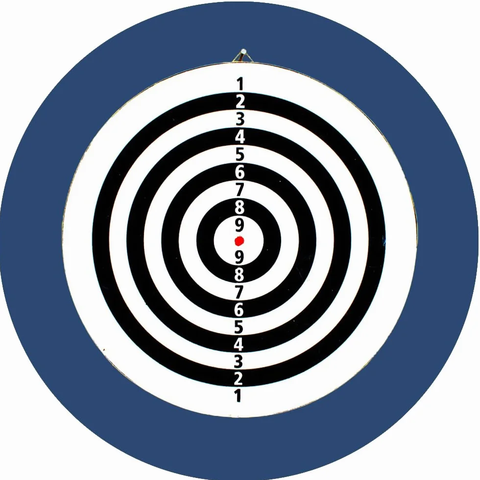 Dart Catchring Surround, pierścień do łapania darta, służy do ochrony ścian wokół tarczy, 4 części, niebieska