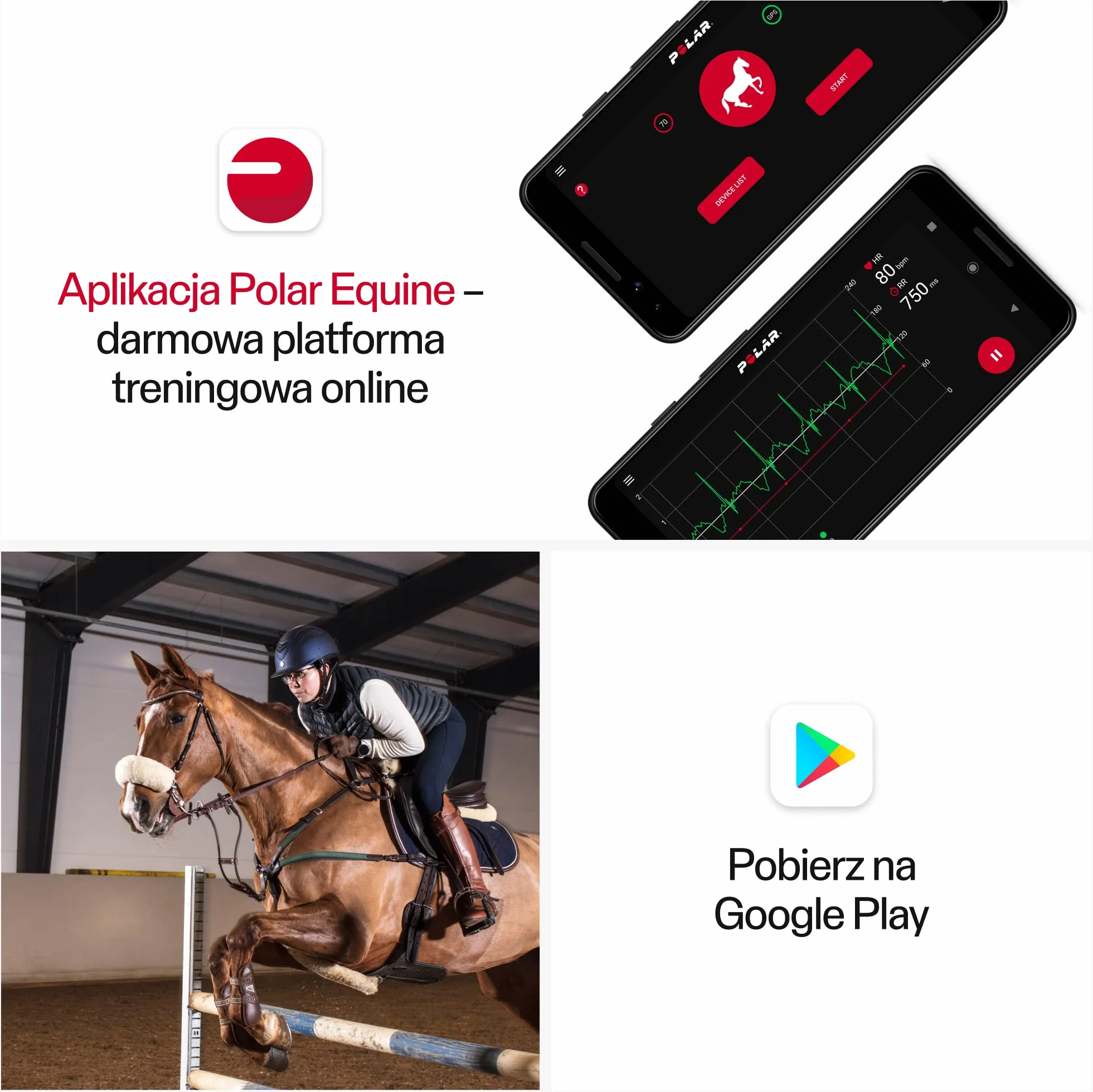 Sensor tętna Polar Equine do jazdy konnej