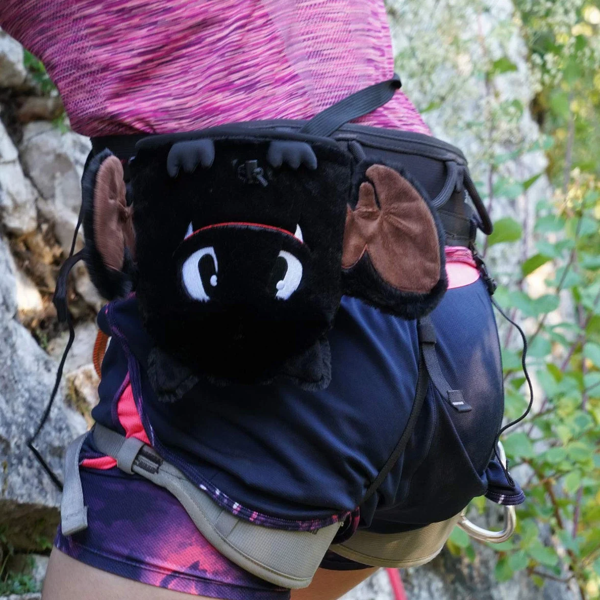 BG Climbing Torba na kredę nietoperz