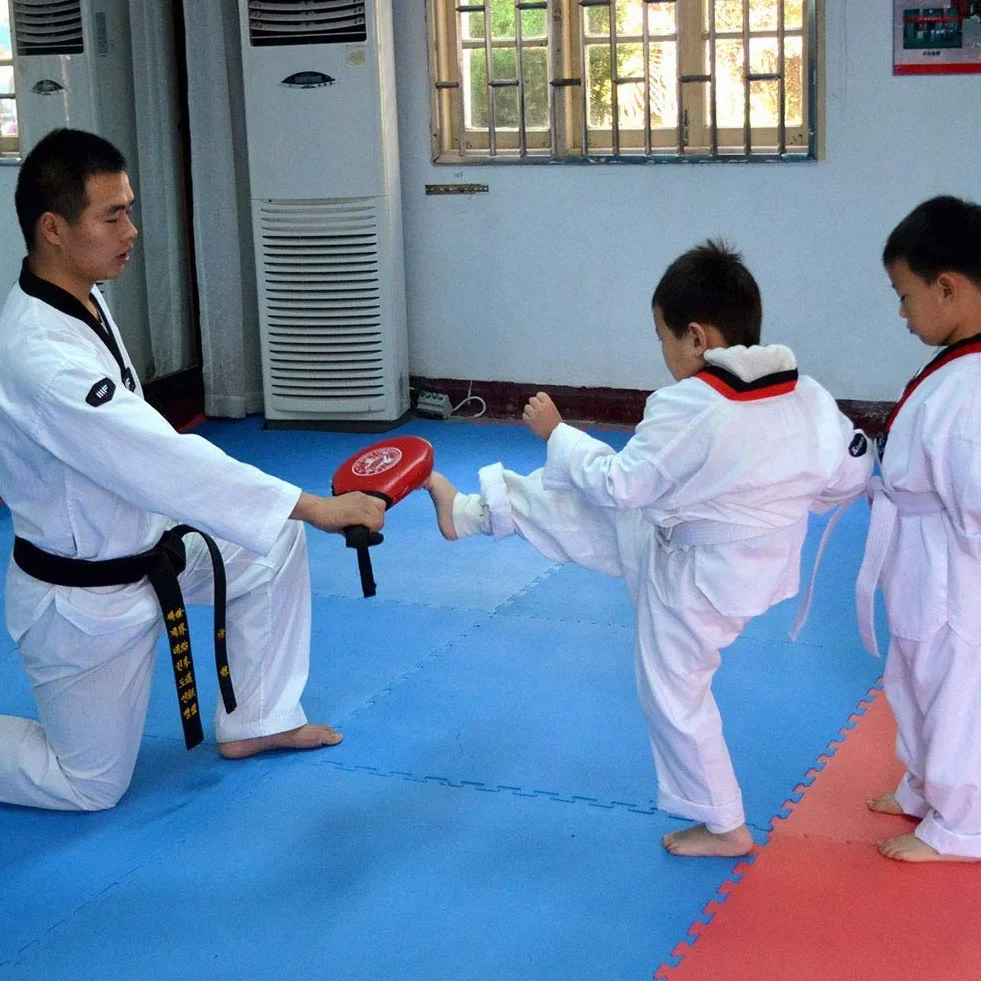 Double Kick Target, Taekwondo Kick Pads TKD Training Karate Kickboxing Judo Practice MMA Muay Thai Martial Arts Sports