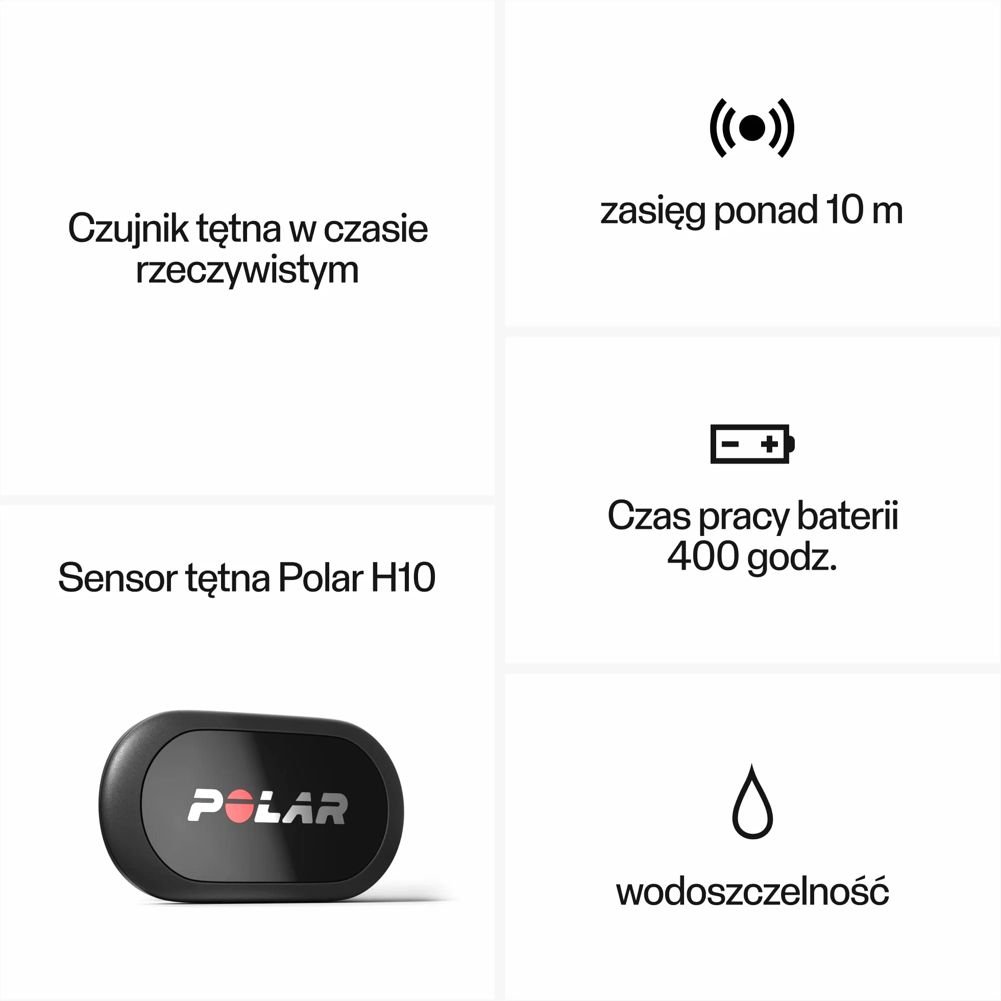 Sensor tętna Polar Equine do jazdy konnej