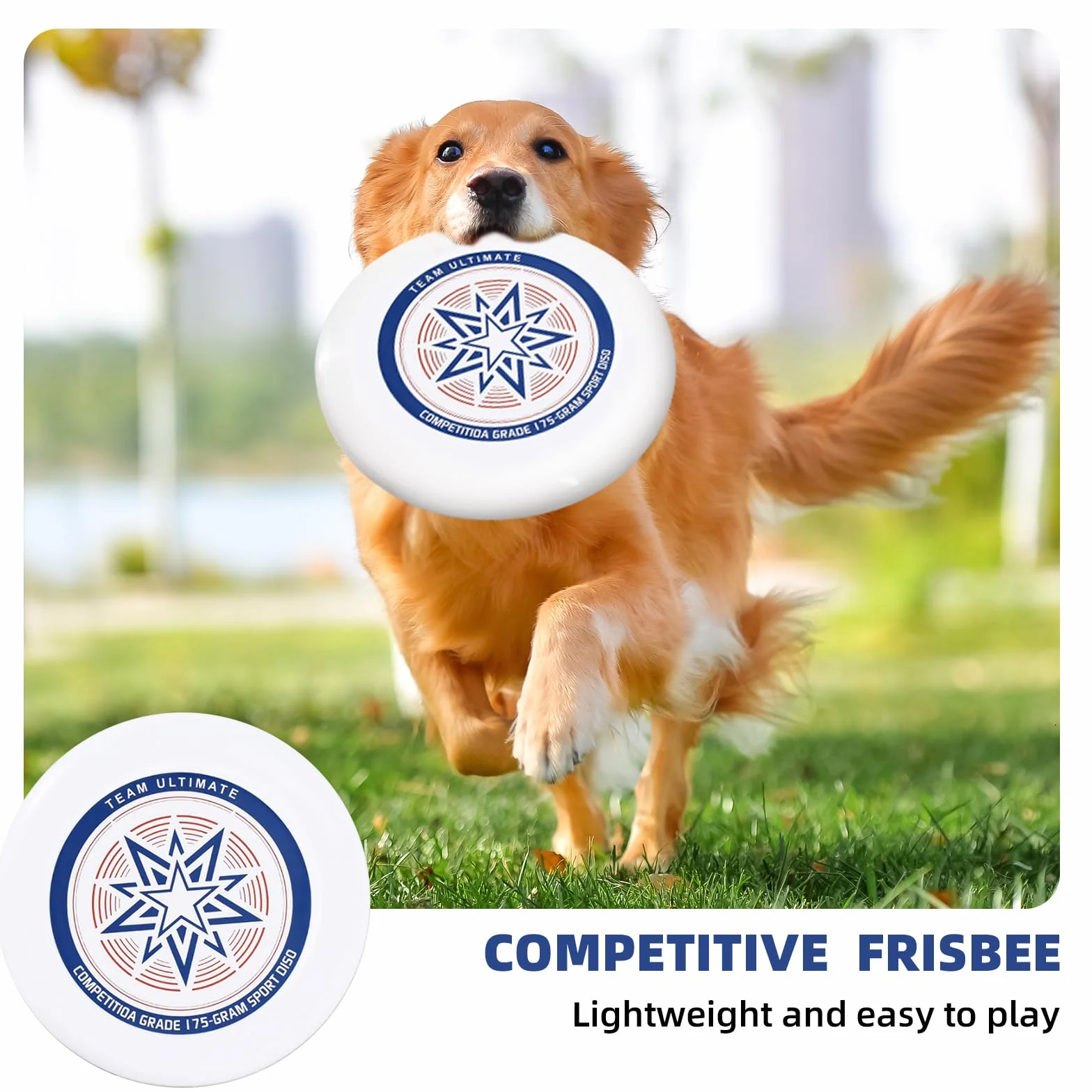175 g frisbee Ultimate Frisbee, obrotowa, profesjonalna fryzbee, Bio-Ultimate-Frisbee, do sportów outdoorowych, nadaje się dla zwykłych graczy i profesjonalistów (torba do przechowywania) [sekcja C]