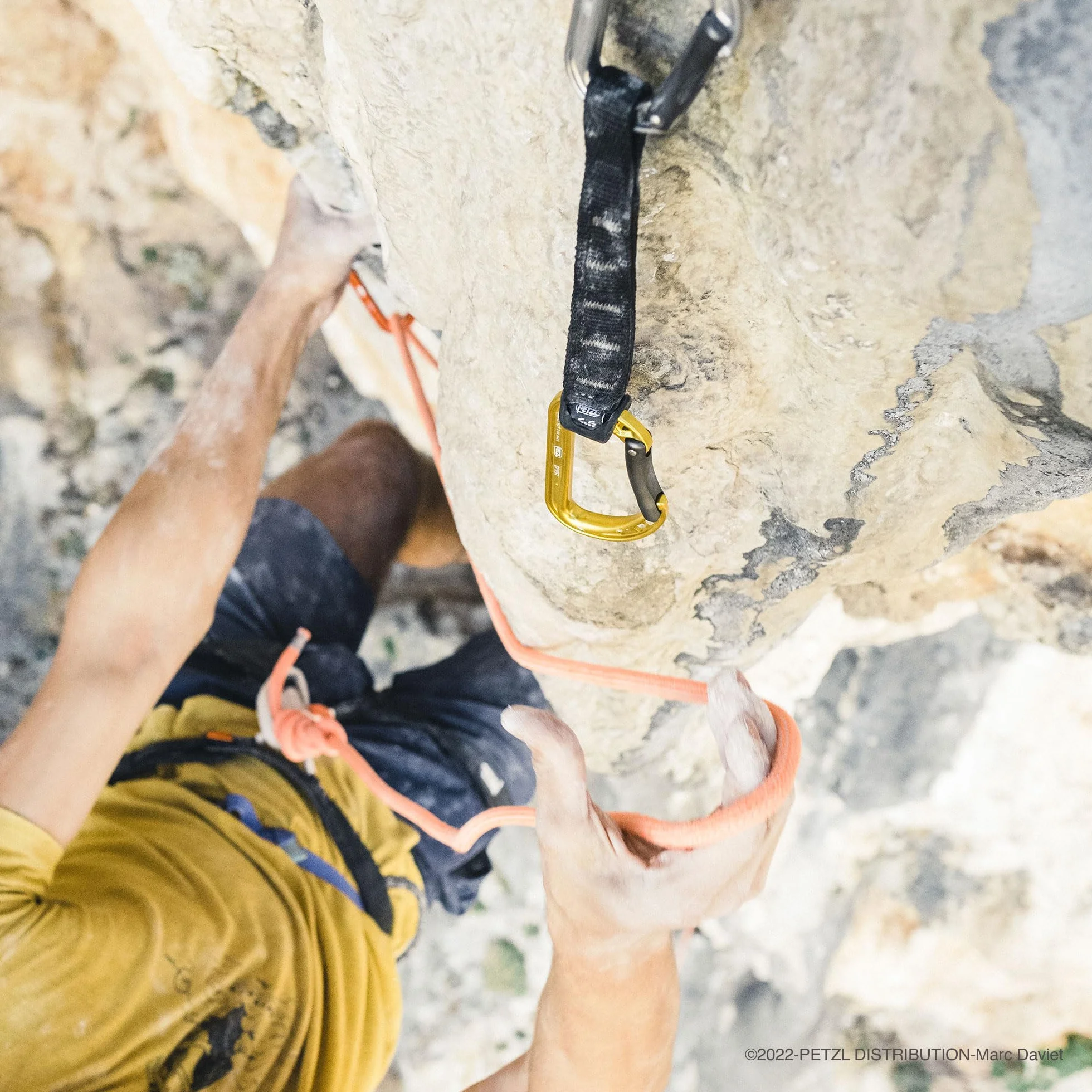 Petzl Spirit 6-Pack Muszkieterów Wielobarwny Unisex Dorosły