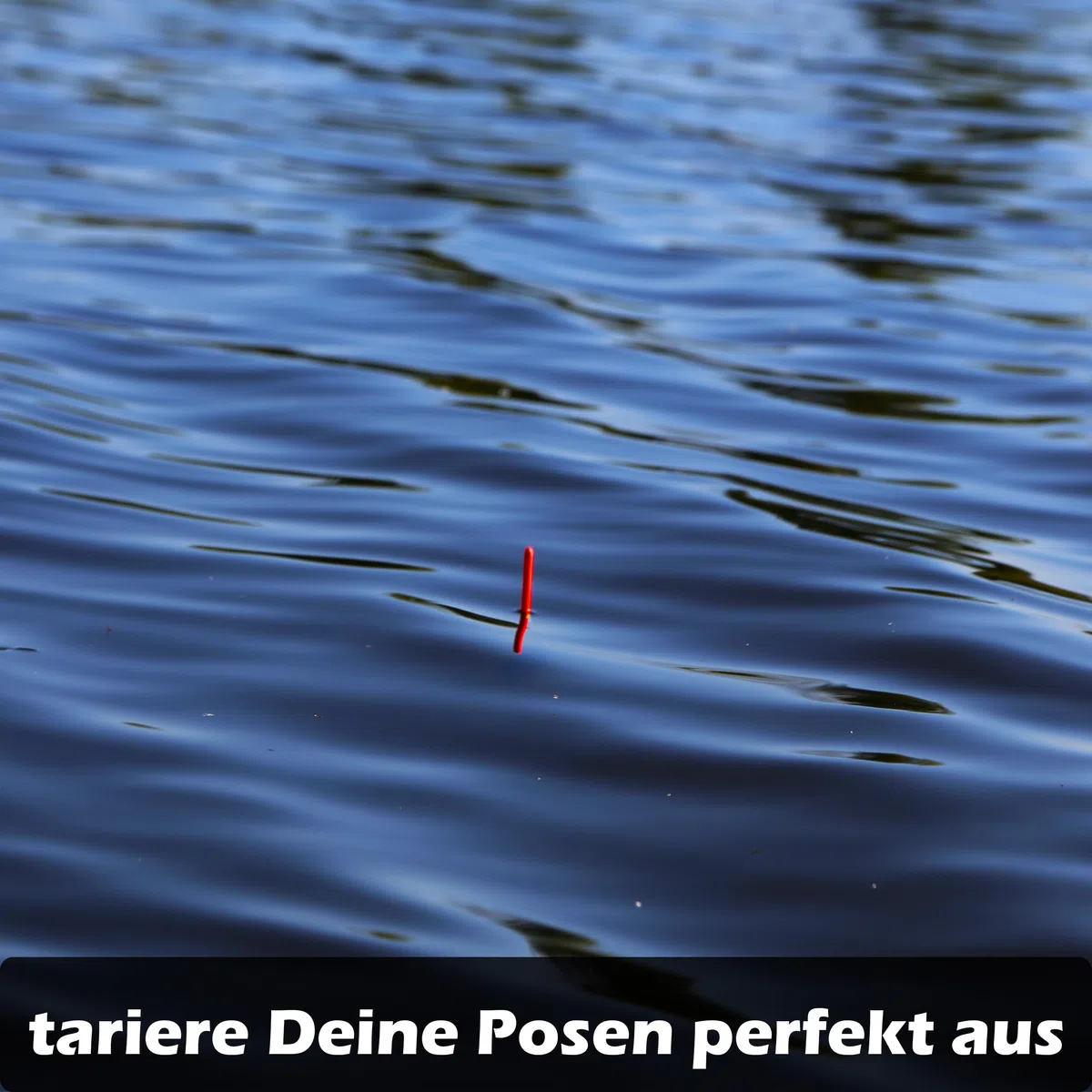 Paradox Fishing Bleischrot Wędka 0,1g-1,0g - Ołowianka Wędkarska Ołów Akcesoria Wędkarskie Ołowianka - Spławiki Wędka