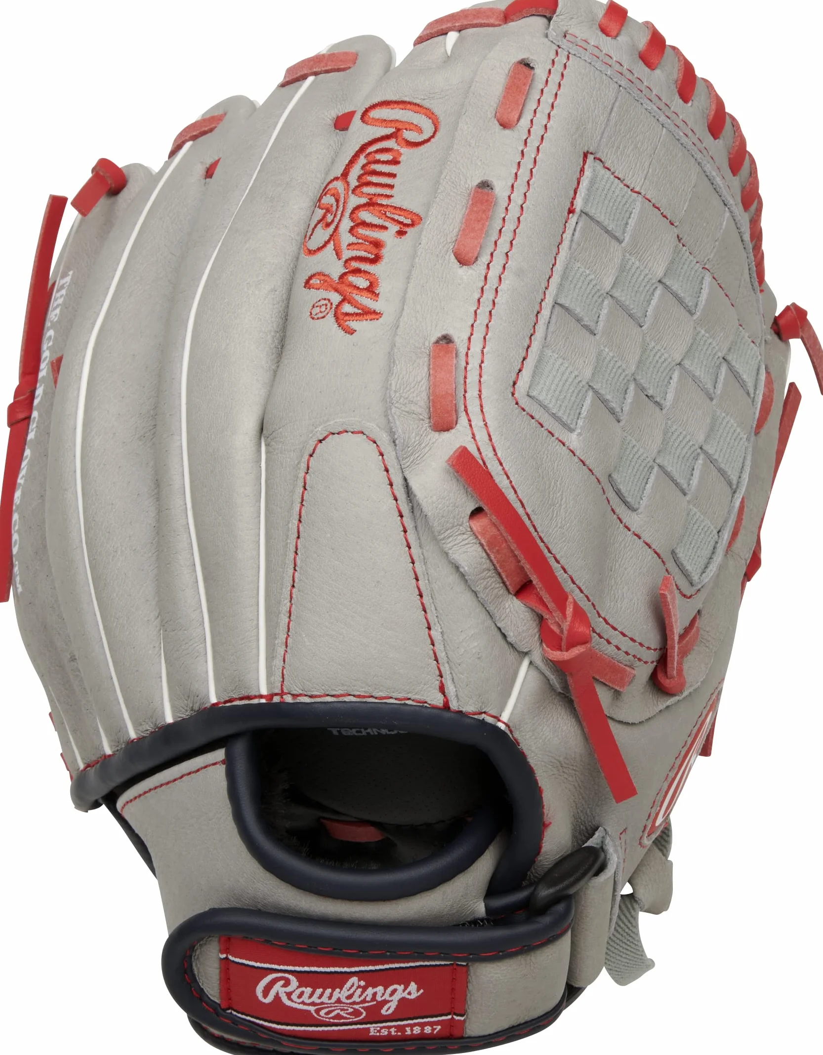 Rawlings | Sure Catch T-Ball i młodzieżowa rękawica baseballowa | Rozmiary 24 cm - 29,2 cm