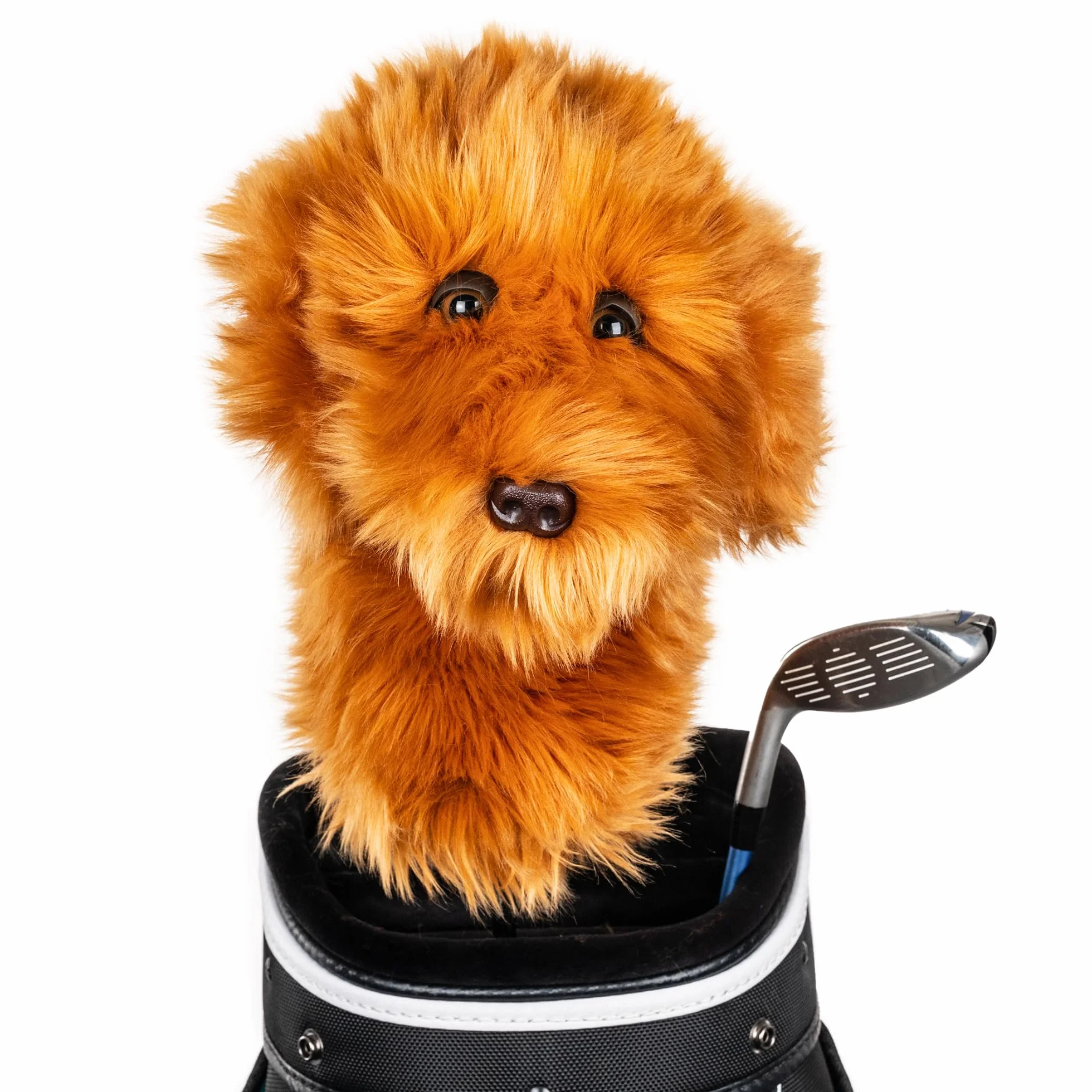 Goldendoodle Golf Headcover