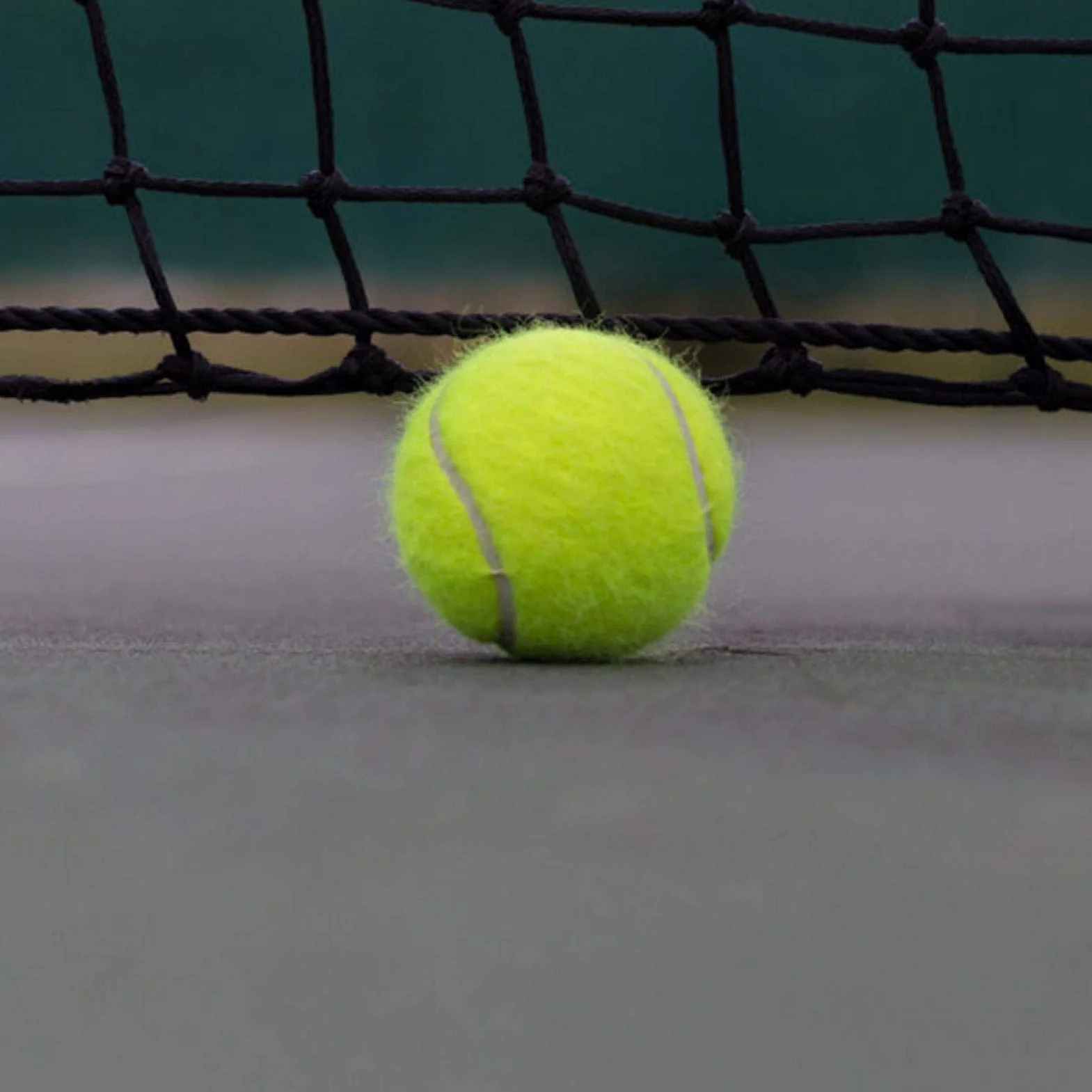 Tennisboll Snöre--Tennisball Mit Angebrachter Schnur, Tennisball Tennis Anfänger Trainingsball Mit 4M Elastischer Gummisaite Für Einzelübungen