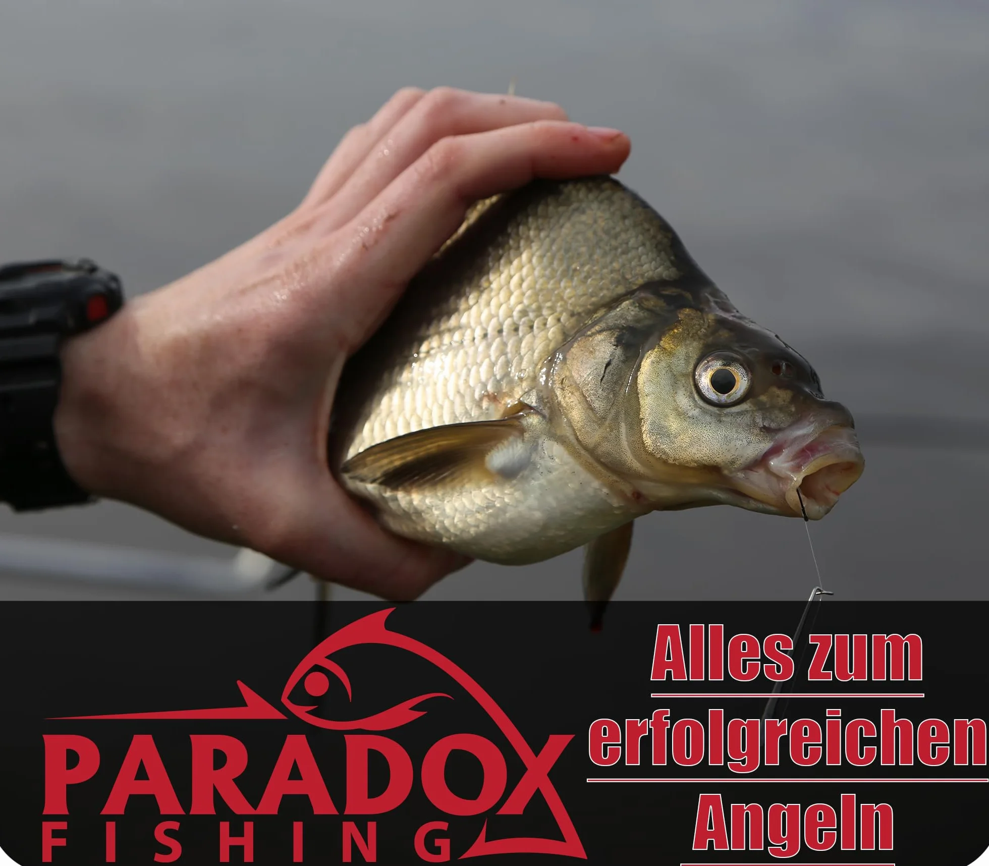 Paradox Fishing Bleischrot Wędka 0,1g-1,0g - Ołowianka Wędkarska Ołów Akcesoria Wędkarskie Ołowianka - Spławiki Wędka