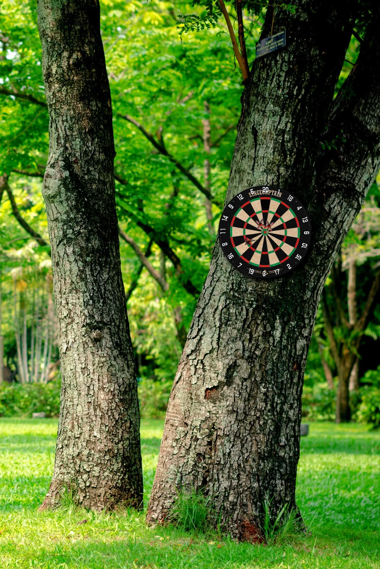 Stagecaptain DBS-1715C Bullseye Champion – Profesjonalna Stalowa Tarcza z Sizalu i 6 Rzutkami