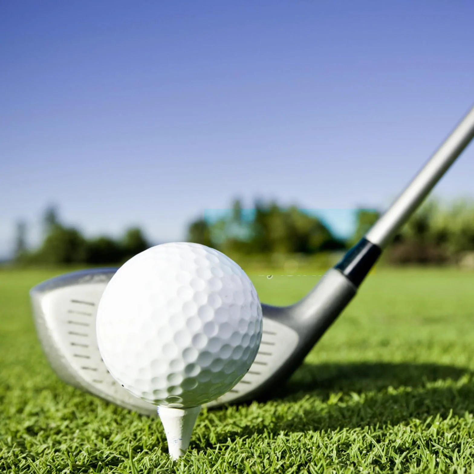 Bambusowe koszulki golfowe 70 mm biodegradowalne 100 sztuk