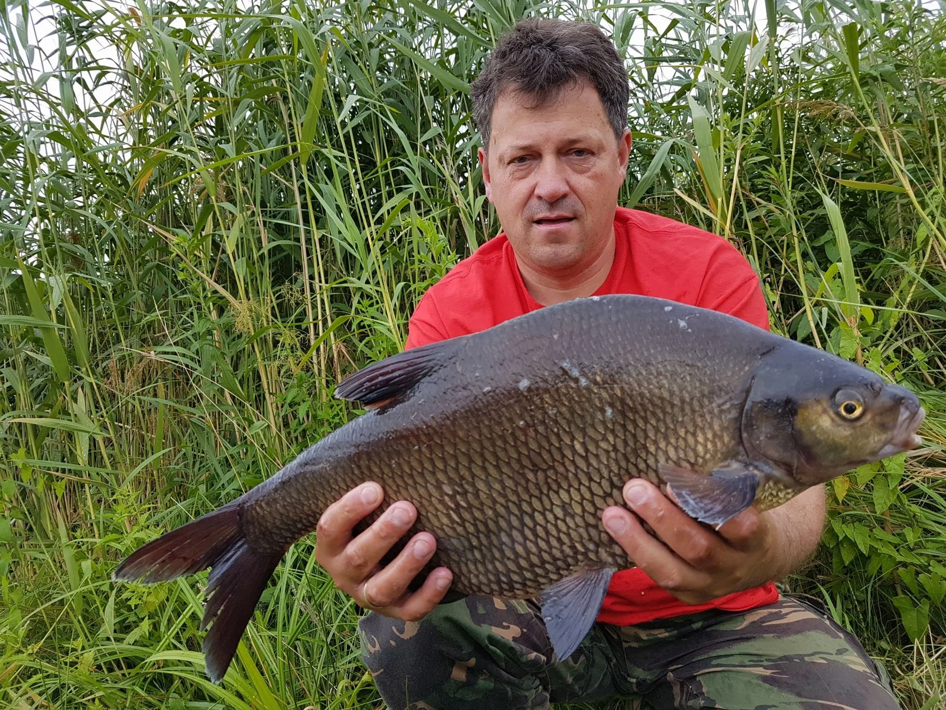 Winner Method/Feeder Pellet 2mm/1kg Truskawka Supreme