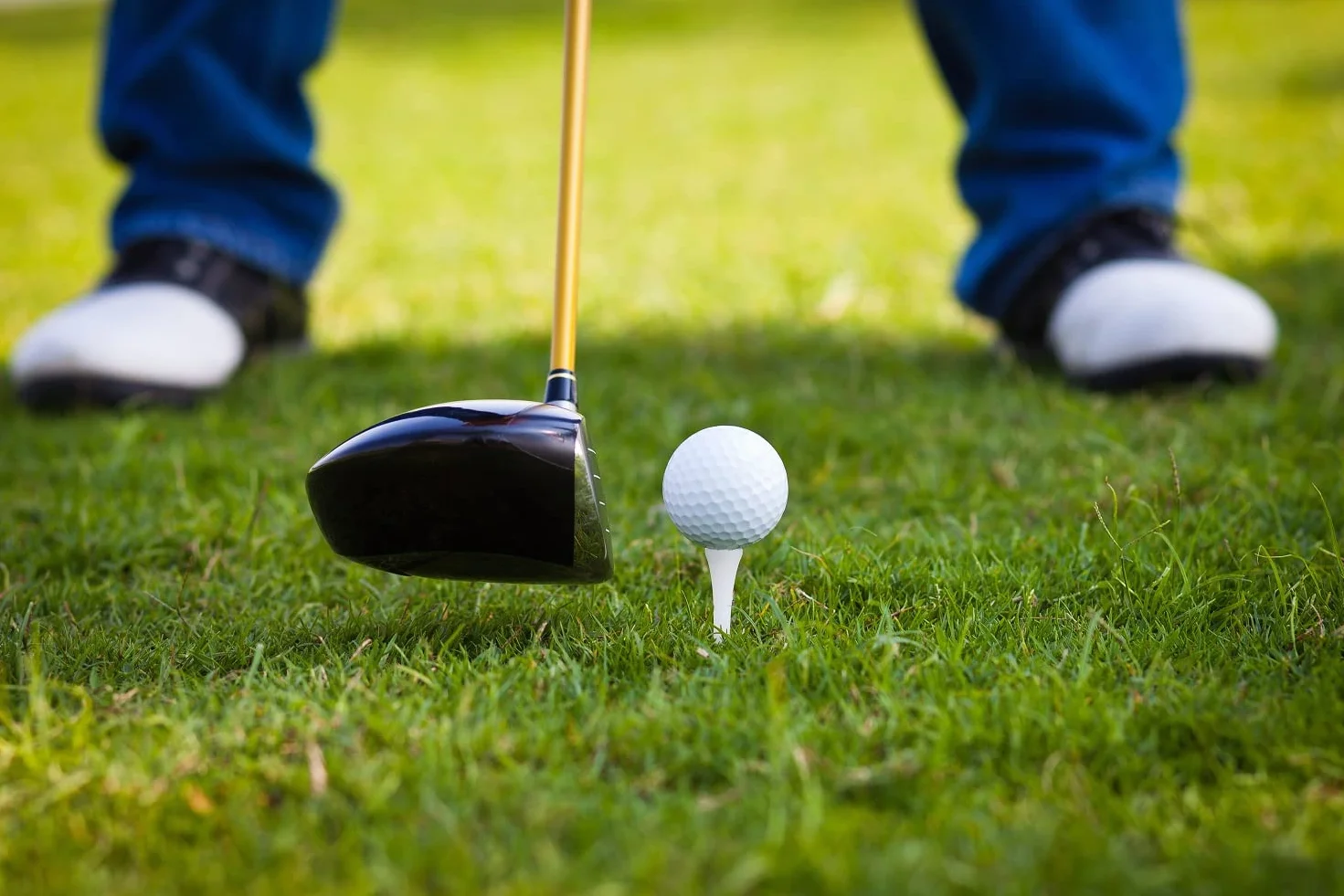 LIGNUM Tee - Classic Golf Tees - Sports Golf Tees - głowica zapobiegająca wirowaniu, bio-drewno, 50 x trwała