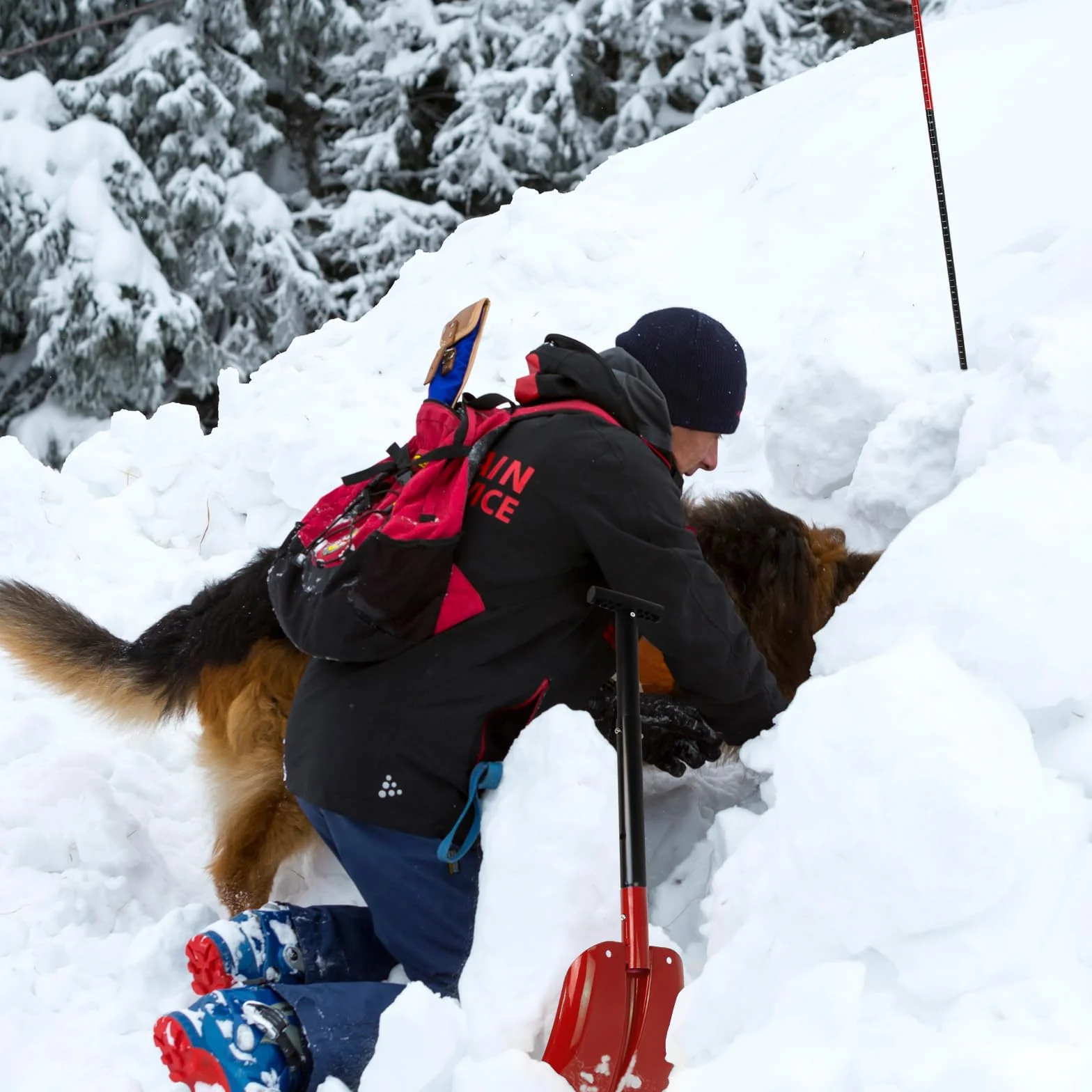 ALPIDEX Łopata Avalanche Alu wysuwany uchwyt teleskopowy Czerwony