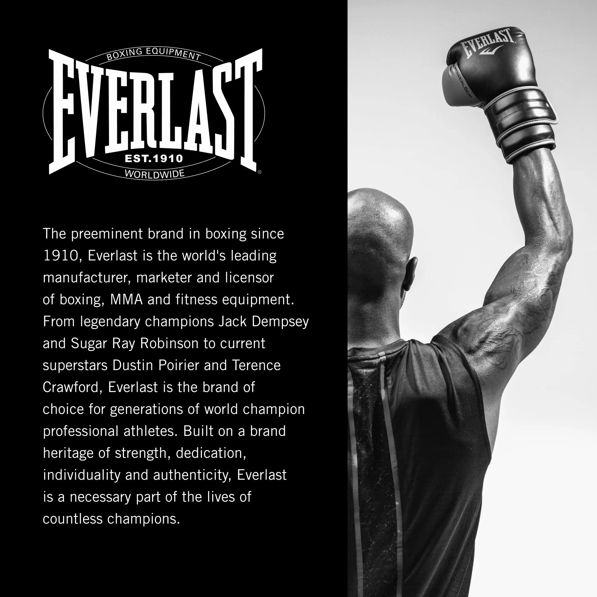 Everlast PowerLock