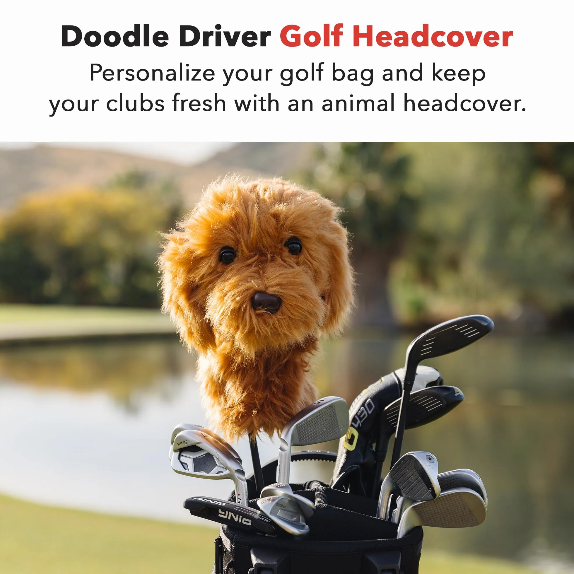 Goldendoodle Golf Headcover