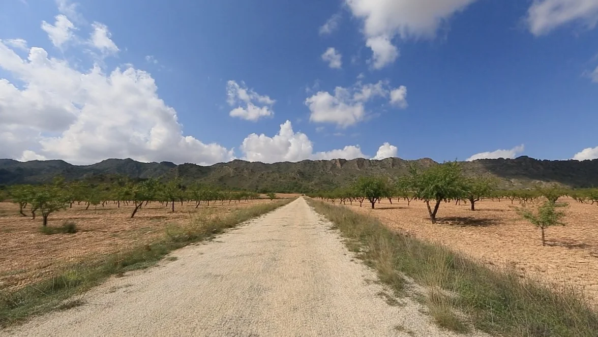 Virtual Cycle Rides - Olives Groves for Indoor Cycling Treadmill and Running Workouts