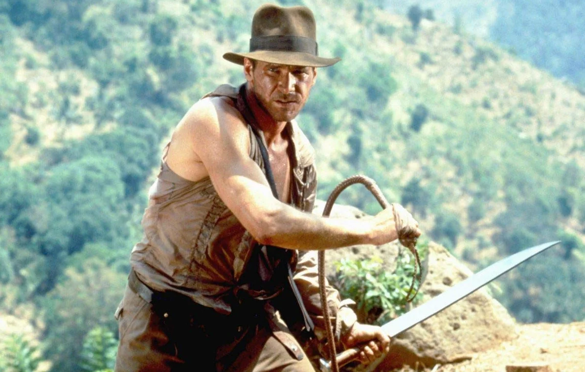 Skórzany bicz Indiana Jones 20 cm 25 m ciemnobrązowy 8 pasm bydlęcy