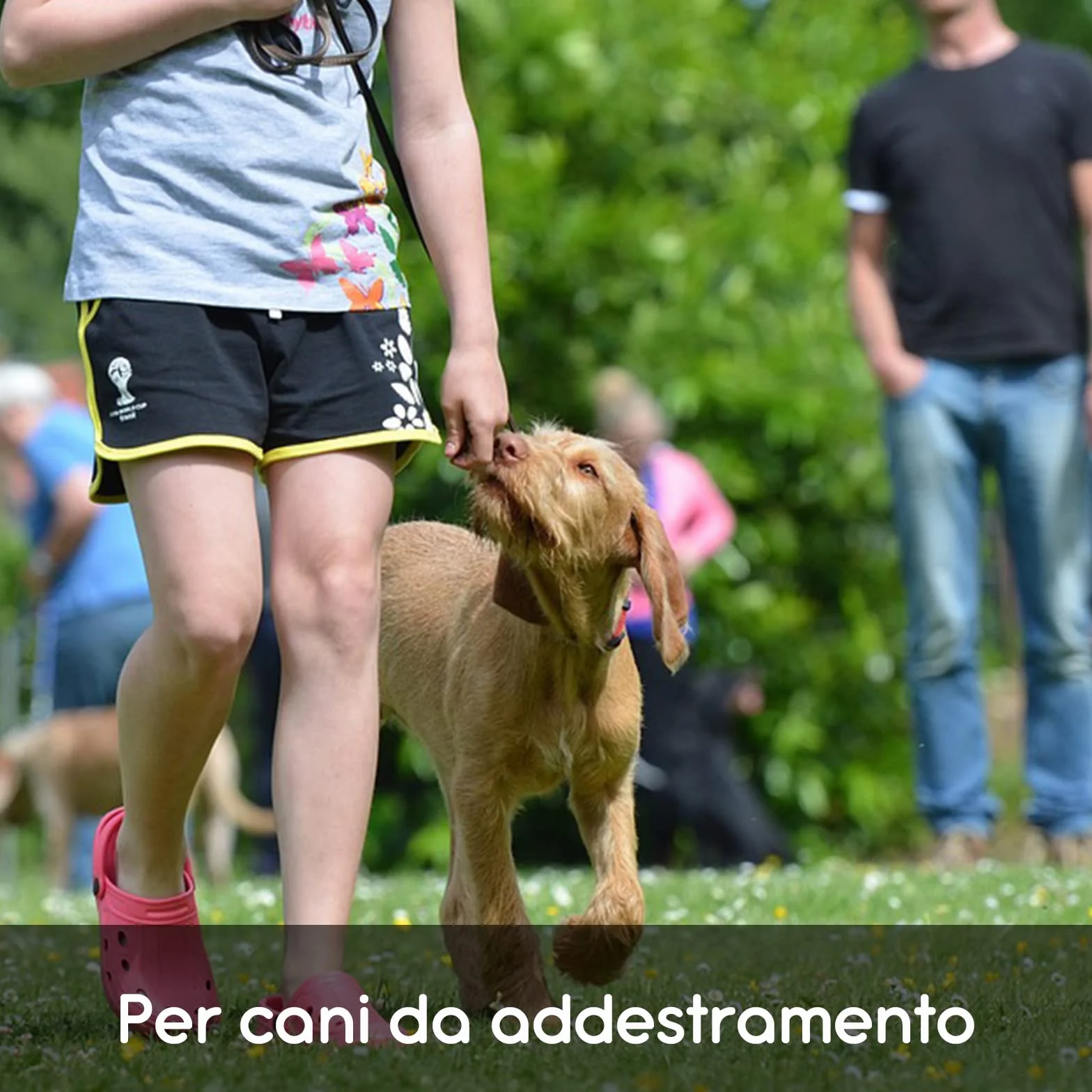 4 gwizdki awaryjne, gwizdki, Silny gwizdek z brelokiem, Sport na świeżym powietrzu, sędzia, Camping, Kajak, Ratowanie raportu, Gwizdek przetrwania