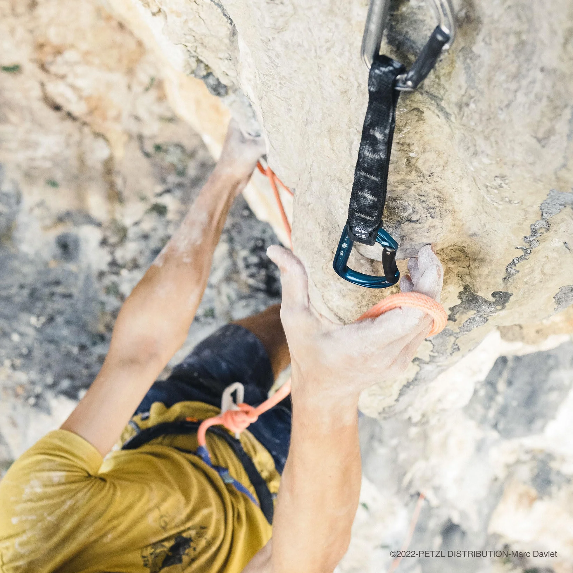 Petzl Spirit 6-Pack Muszkieterów Wielobarwny Unisex Dorosły