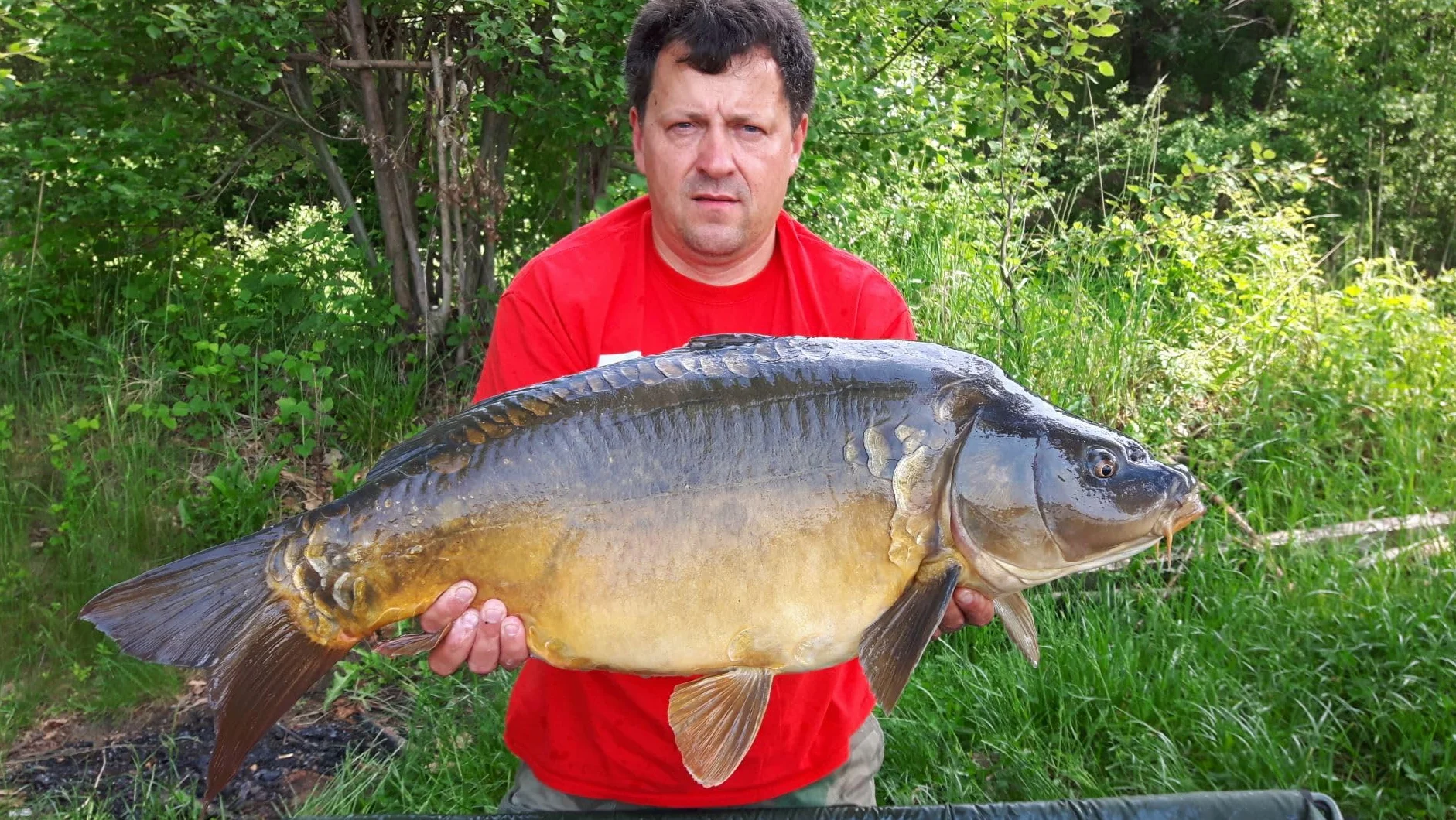 Winner Method/Feeder Pellet 2mm/1kg Truskawka Supreme