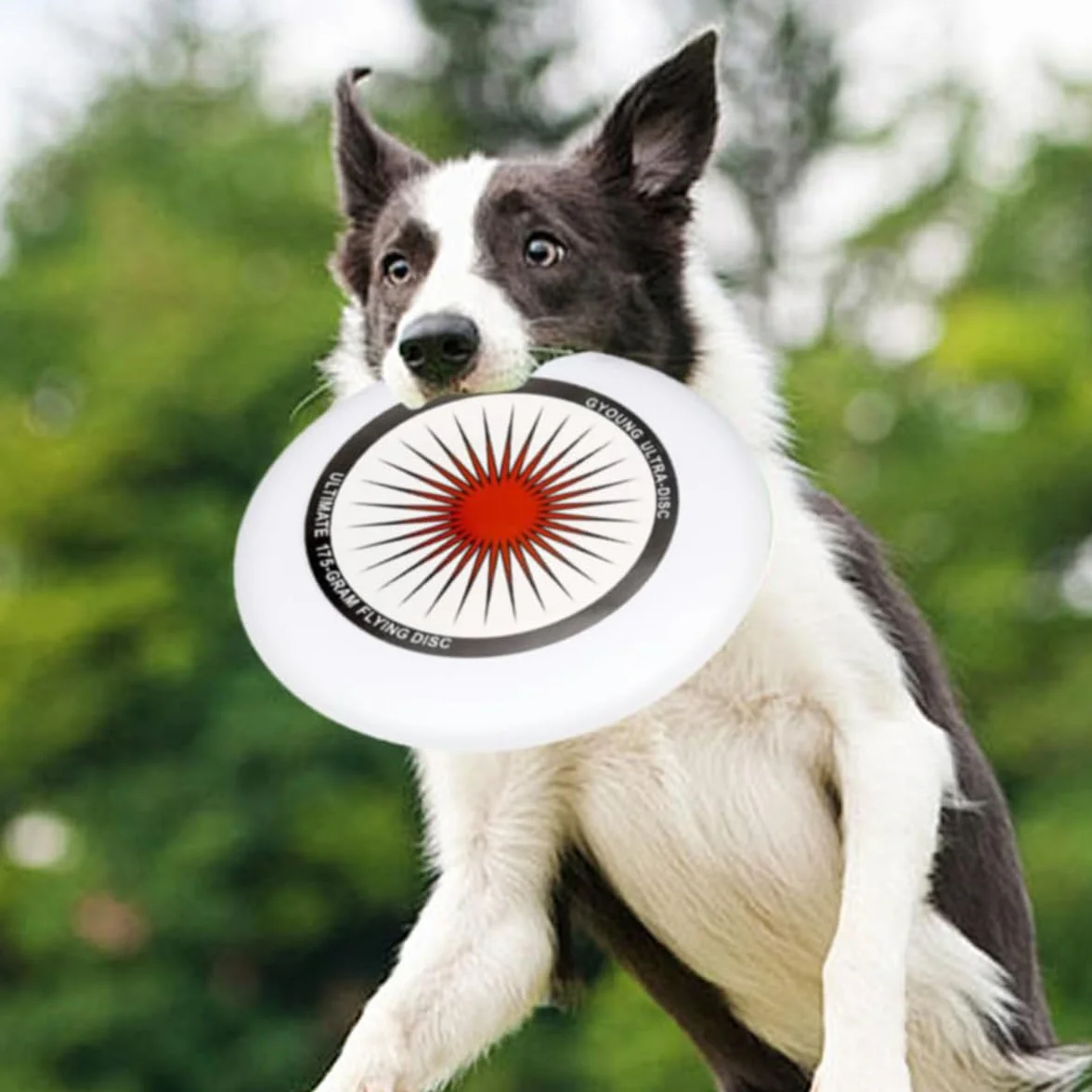 175g dysk frisbee do najlepszego frisbee, zawody sportowe na świeżym powietrzu kierowca średniej klasy na torze wodnym, kierowca dystansowy dla dorosłych