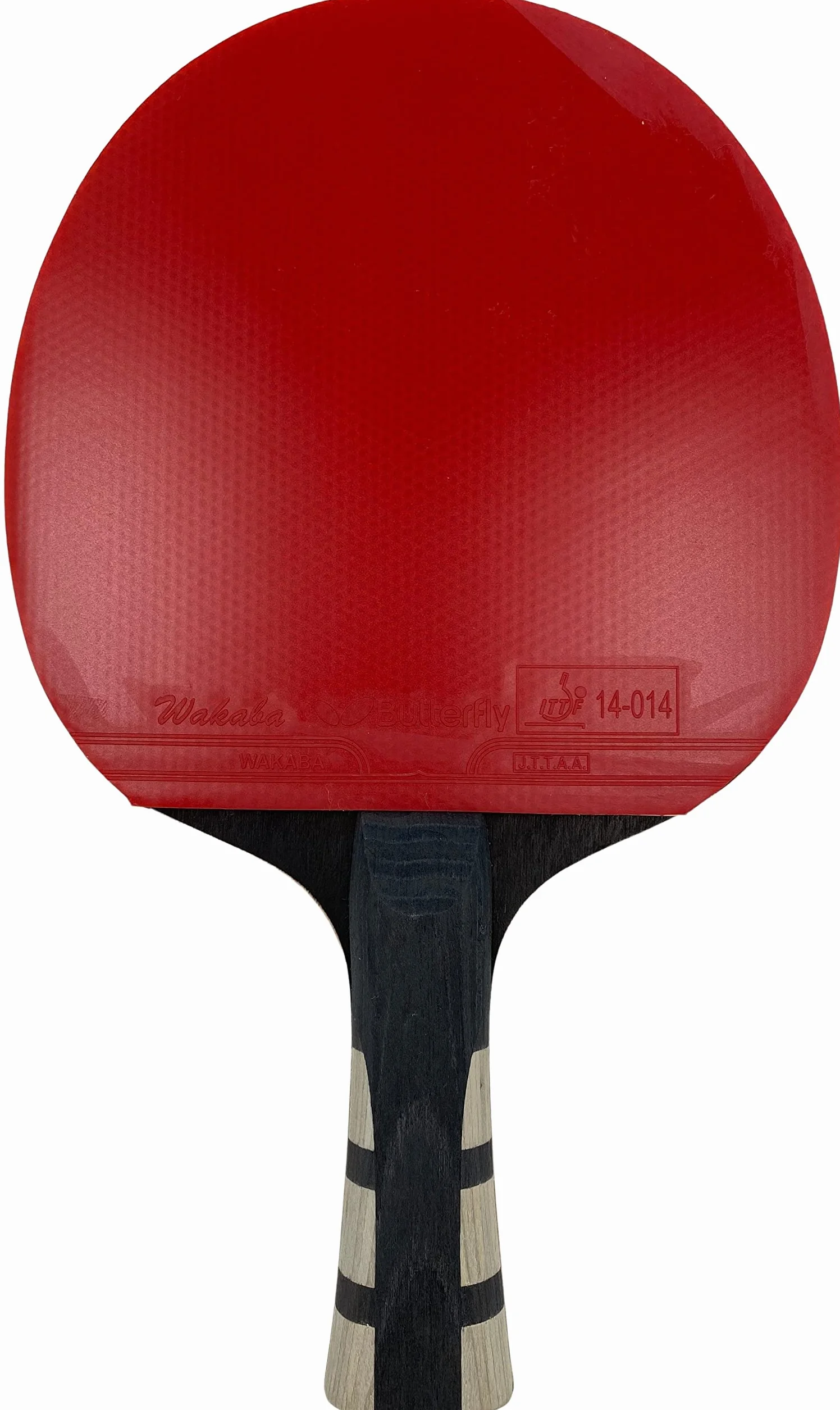 Butterfly Timo Boll Black Paletka do Tenisa Stołowego, Wielokolorowy, 34.01 x 23.01 x 2.49 cm, 10316